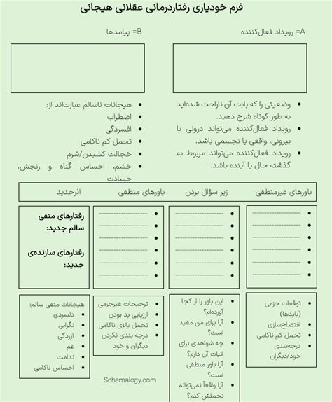 نحوه اجرای درمان عقلانی هیجانی رفتاری آلبرت الیس در عمل اسکیمالوژی