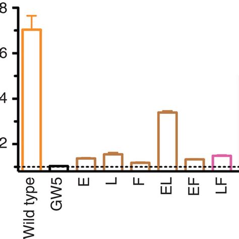 Mutational Analysis Of Ntsr1 For Activation Of G Protein Download