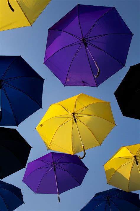 Assorted-colors Umbrella · Free Stock Photo