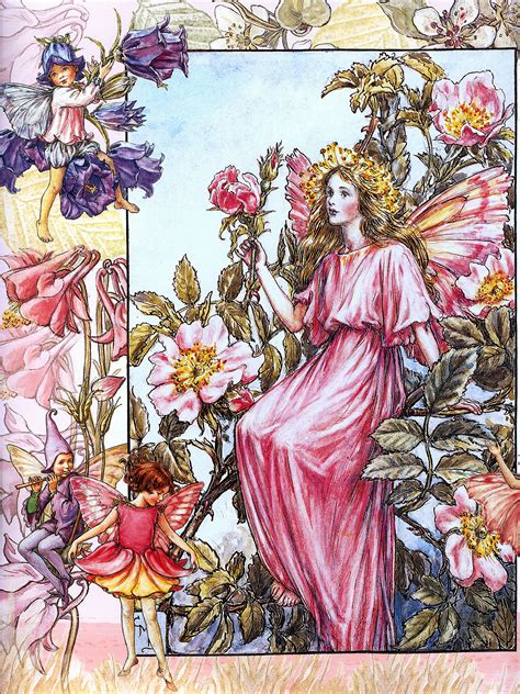 Cicely Mary Barker 1895 1973 The Wild Rose Fairy Summer Fairy