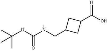 Tert Butoxy Carbonyl Amino Methyl Cyclobutane Carboxylic Acid