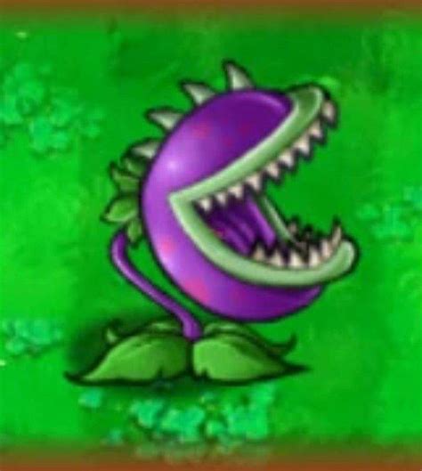 Planta carnívora Chomper Wiki Universo PvZPvZ Oficial Amino