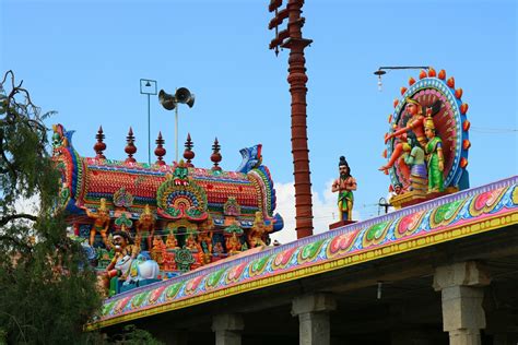 vedaranyam temple: Vedaranyam kodiakkarai nature
