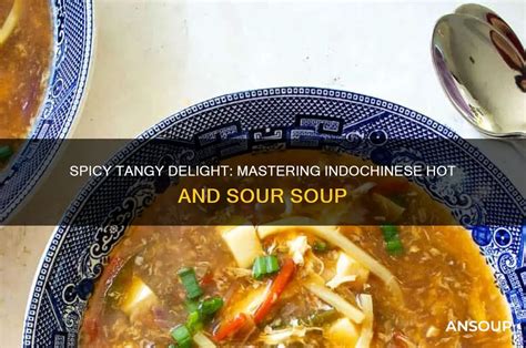 Spicy Tangy Delight Mastering Indochinese Hot And Sour Soup AnSoup