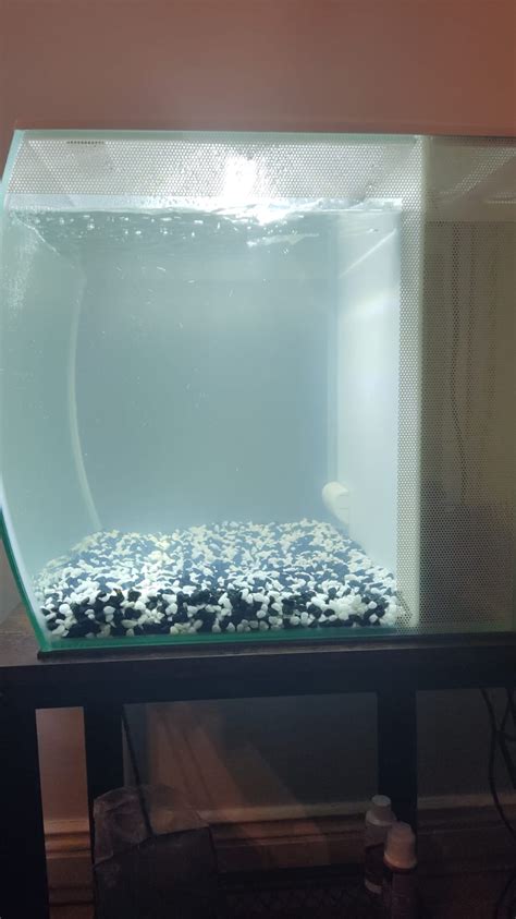 New tank cycling and cloudy water | Aquarium Forum