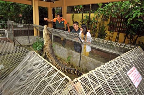 Langkawi Wildlife Park editorial photography. Image of feeding - 156996397