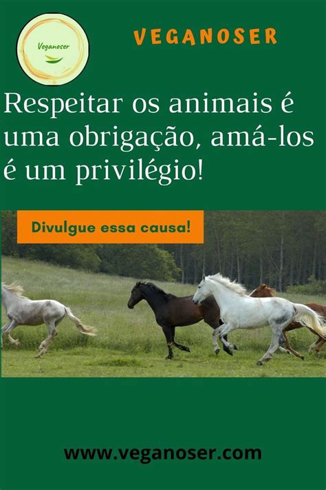 Respeitar Os Animais Uma Obriga O Am Los Um Privil Gio Defesa