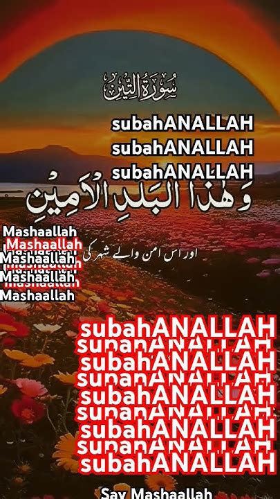 Beautiful Recitation Of Surah Watinmashaallah Quranismylife Quran