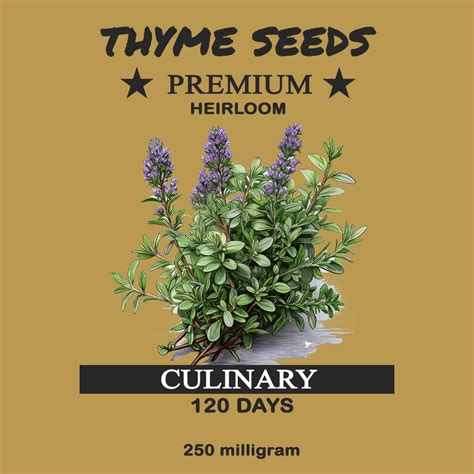 thyme seeds culinary garden bloom seed company