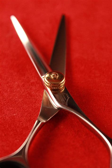 Fuji More Z Scissorsshears Xg 55 55 Inches Deluxe Alloy