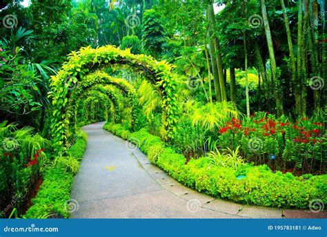 Singapore Botanic Gardens Stock Image Image Of Botanic 195783181