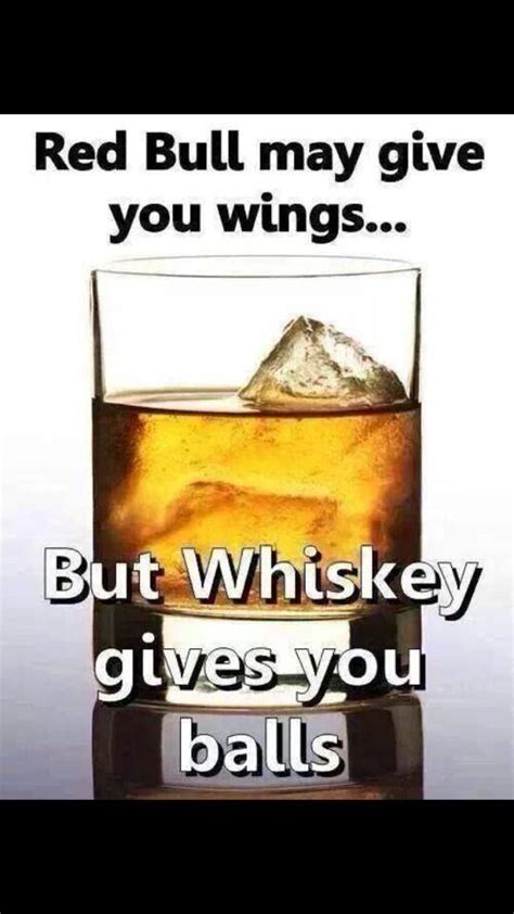 jokes funny whiskey quotes - Kasie Mena