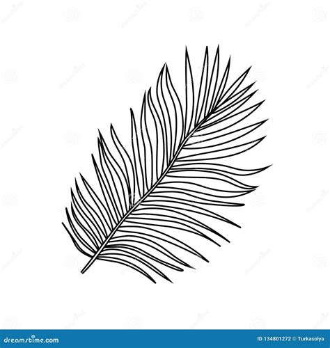 Palm Leaves Outline ~ Palm Tree Leaves Outline Template Leaf Printable