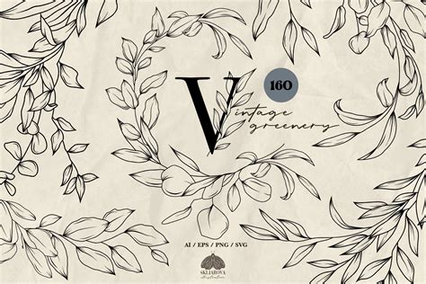 Vintage Greenery Line Art Collection Design Cuts