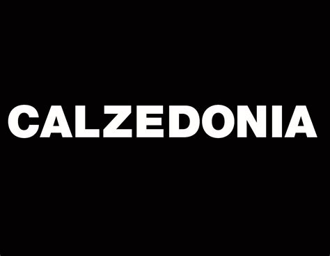 logo-calzedonia1 - CoolTech