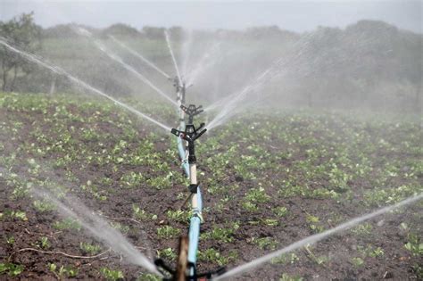 Frequently Asked Questions About Irrigation Faqs Agri Farming