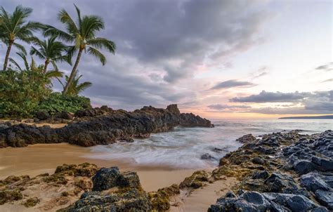 Wallpaper The Ocean Shore Stones Palm Trees Hawaii Hawaii Sunrise