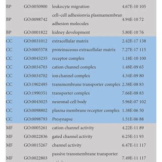 A Go Analysis Revealed The Top Significantly Enriched Terms Of The