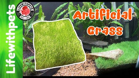 How To Use Artificial Grass In An Aquarium Youtube