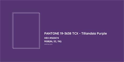 About Pantone 19 3638 Tcx Tillandsia Purple Color Color Codes Similar Colors And Paints