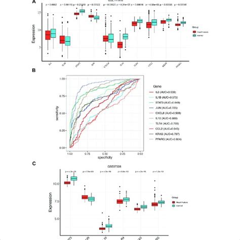 The Roc Curve Analysis And Expression Analysis Of Hub Genes In Train