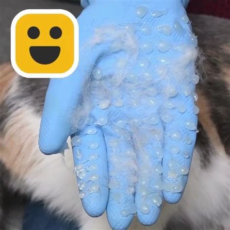 Pin On Hot Glue Craft Ideas