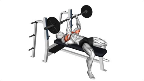 10 Exercises For All 3 Heads Of Tricep - Target Every Muscle - Workout Guru