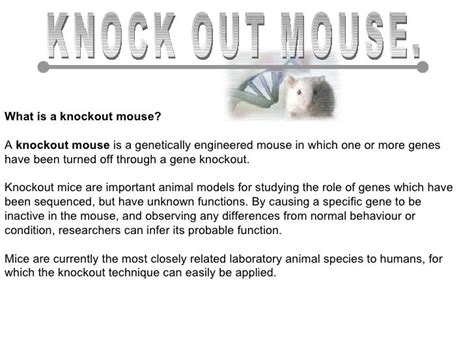 KnockOut mouse technology By Bikash karki