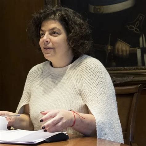 Vizzotti Sobre El Proyecto De Ofelia Fernández Hay Que Pensar La