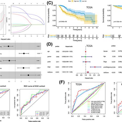 Construction And Validation Of Prognostic Signature A Lasso