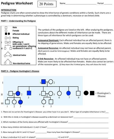 Solved Pedigree Worksheet 20 Points Name Period Introduction Pedigree