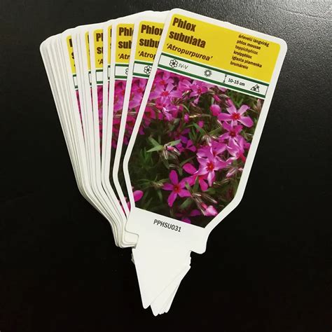 Plastic Label Pvc Pp Waterproof Waterproof Uv Resistant Garden Label