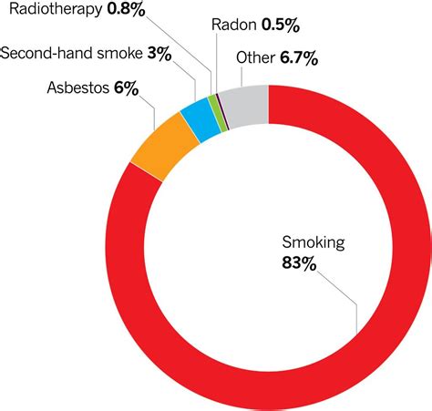 Lung Cancer Risk Factors