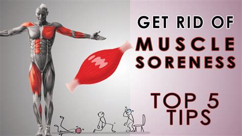 5 Ways To Get Rid Of Soreness Muscle Pain Instant Relief Youtube