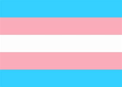 El 29 de octubre se convierte en el Día de las Infancias Trans La