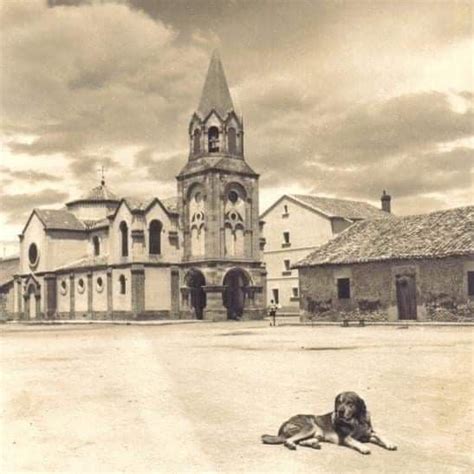 A Dog Laying On The Ground In Front Of An Old Building With A Steeple