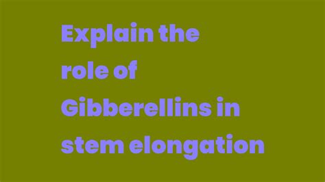 Explain The Role Of Gibberellins In Stem Elongation Write A Topic