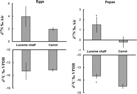 δ¹³c And δ¹⁵n Values Of Eggs And Pupae Of Q Fly Obtained From A Colony