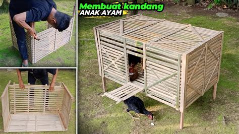 Membuat Kandang Anak Ayam Sederhana Youtube