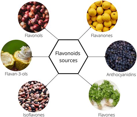 Flavanols Food