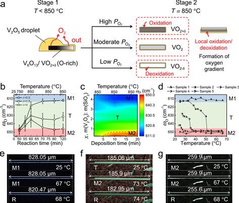 Stoichiometry Engineering Of Cvd Grown Vo2 Crystals A Schematics Of Cvd Download Scientific