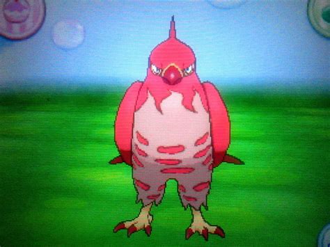 Shiny Talonflame for TRADE !!! by KitsuneHebi on DeviantArt