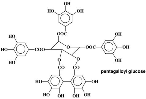 Structure of pentagalloylglucose | Download Scientific Diagram