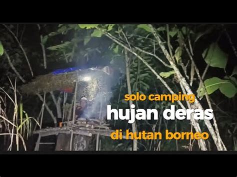 Solo Camping Hujan Deras Tenda Hangat Di Hutan Kalimantan Borneo Solo