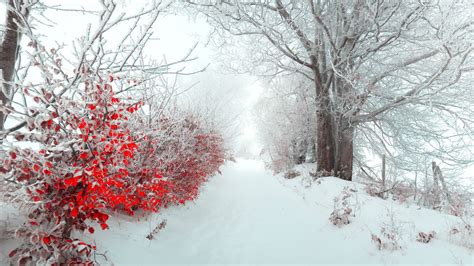 обои : пейзаж 1920x1080 - 6ITACHI9 - 1012892 - красивые картинки - WallHere