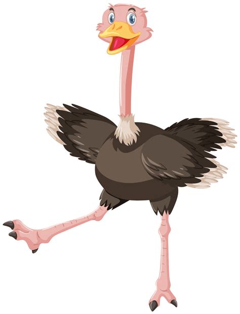 Cartoon Ostrich Clipart Images - ClipartLib