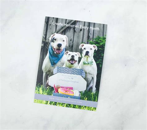 The Dapper Dog Box October 2018 Subscription Box Review + Coupon ...