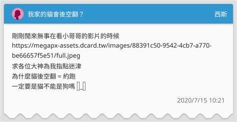 我家的貓會後空翻？ 西斯板 Dcard