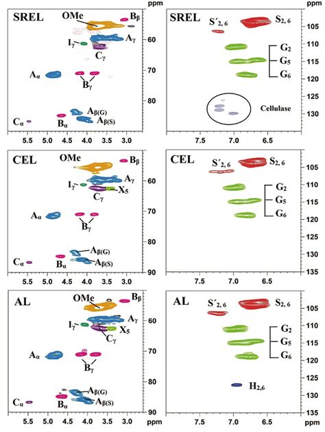 Side Chain And Aromatic Region In The 2D HSQC NMR Spectra Of The