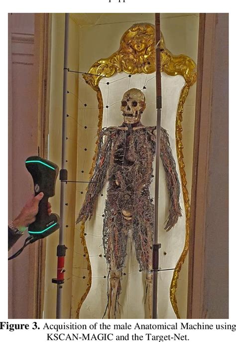 Figure From The D Reconstruction Of The Sansevero Chapel Anatomical